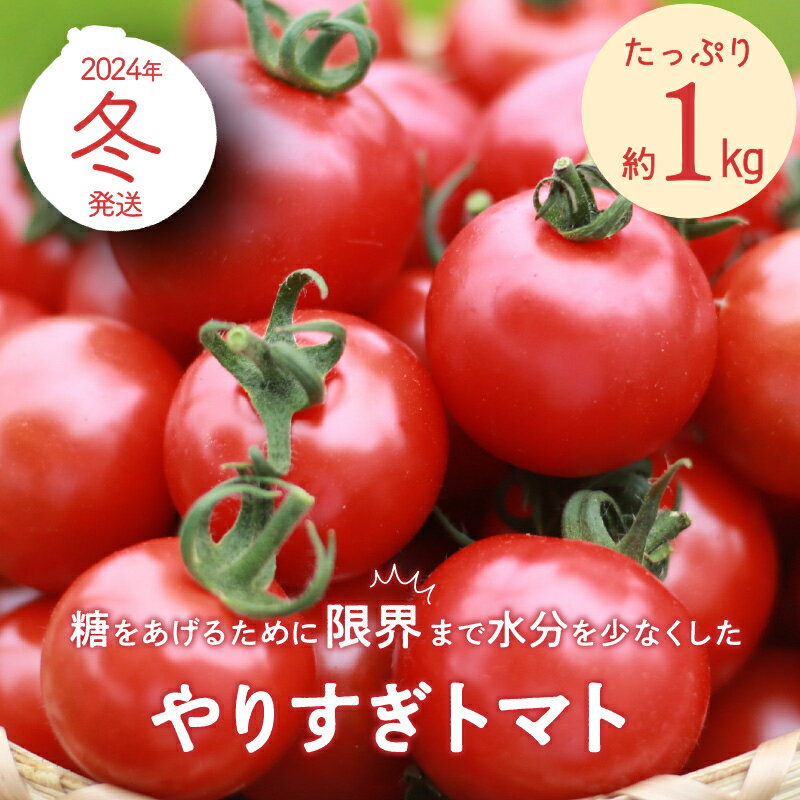 【ふるさと納税】高評価★5.0 高レビュー★ 【先行予約】やりすぎトマト（4パック計約1kg）（冬季）（2024年12月上旬以降発送） 国産 ミニトマト ミディトマト プチトマト お野菜 野菜 とまと 高糖度 甘い 濃縮 濃厚 トマトスープ 健康 リコピン おすすめ 人気