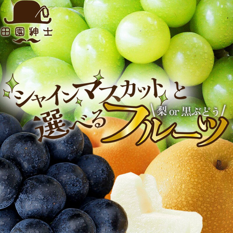 【ふるさと納税】田園紳士厳選 シャインマスカット 梨セット 黒葡萄セット