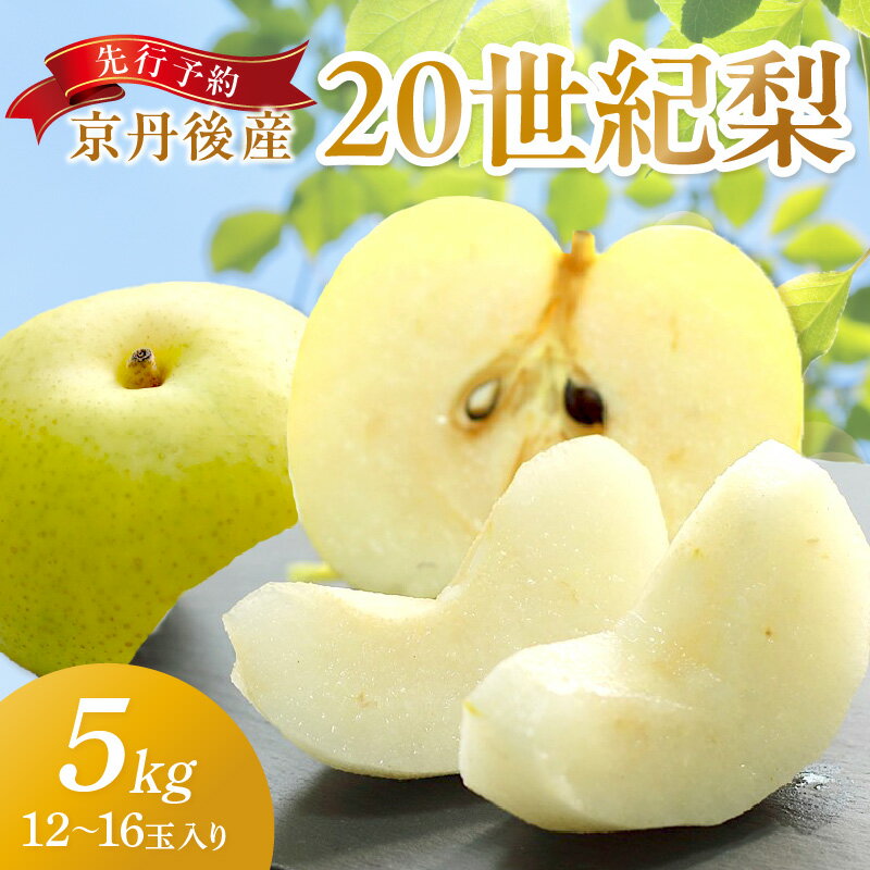 直売所直送/[先行予約/数量限定150]京丹後産 20世紀梨 5kg(12〜16玉入り)(2024年9月〜発送) 国産 期間限定 デザート 甘い ジューシー ふるさと 納税 梨 なし ナシ 5kg ふるさと 納税 先行予約 期間限定 ふるさと 納税 フルーツ くだもの 青梨