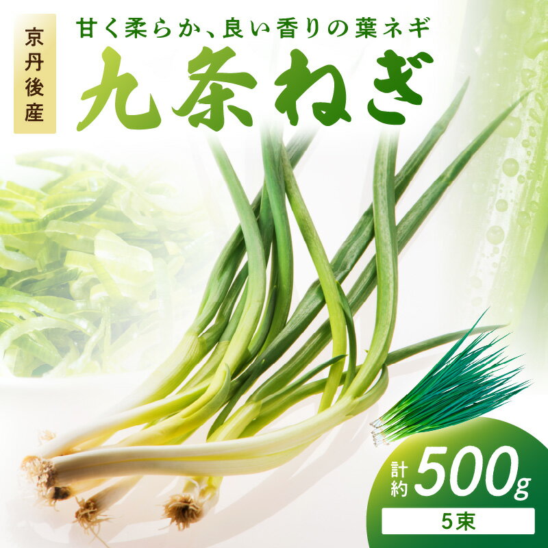 【ふるさと納税】京都・京丹後産 九条ネギ 約500g 甘味 九条葱 九条ねぎ 京野菜 京都 京都産 新鮮 野菜..