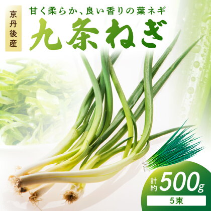 京都・京丹後産 九条ネギ 約500g 甘味 九条葱 九条ねぎ 京野菜 京都 京都産 新鮮 野菜 やさい ふるさと納税 ネギ ふるさと納税 野菜 京都 丹後 農産物 生産者応援 農家応援 送料無料