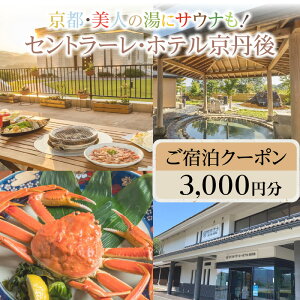 【ふるさと納税】京都・美人の湯にサウナも!セントラーレ・ホテル京丹後 ご宿泊クーポン 3,000円分 旅行券 旅 トラベル 旅行 宿泊券 海の京都 丹後半島 京丹後 温泉宿 宿泊チケット ファミリー 家族 金券 BBQ ホテルチケット 夕日ヶ浦温泉 天橋立 城崎温泉 伊根 も近い