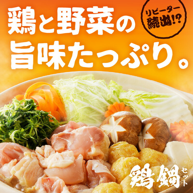 【ふるさと納税】京都・京丹後の若鶏と九条ネギの鶏鍋セット（3～4人前） 国産 とり肉 若鳥 鶏もも つみれ 鶏鍋 九条ネギ ふるさと 納税 鍋セット ふるさと納税 鶏肉