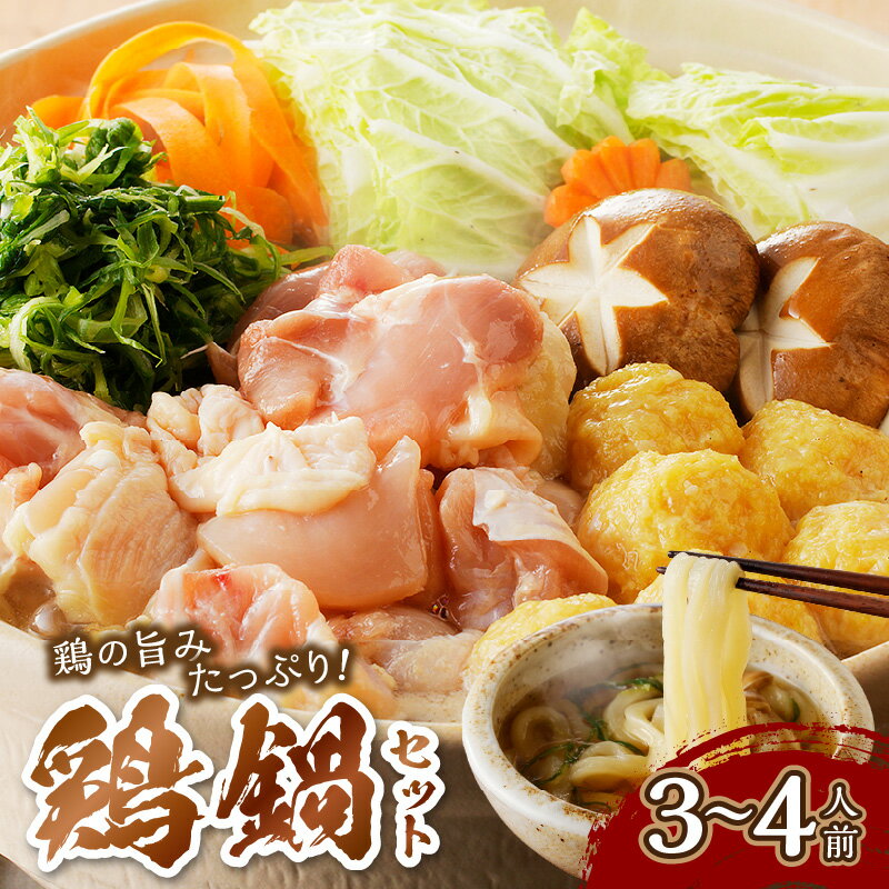 【ふるさと納税】京都・京丹後の若鶏と九条ネギの鶏鍋セット（3