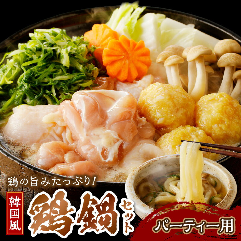 【ふるさと納税】京都・京丹後の若鶏と九条ネギの韓国風鶏鍋セッ