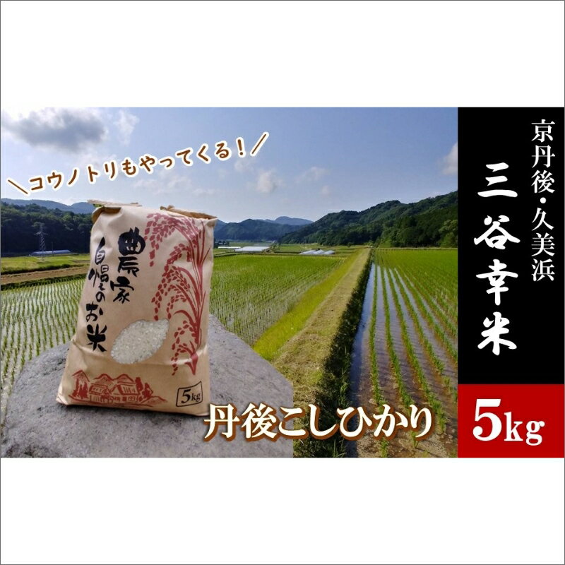 【ふるさと納税】【高評価！大好評！小さな小さな集落から絶品のお米をお届け！】西日本最多特A獲得★ 農家直送★ 丹後 こしひかり 精米 5kg 「三谷幸米」 こめ ふるさと 納税 コシヒカリ 精米 ふるさと納税 米 精米 ブランド米 新米 2022 年 京都産 送料無料