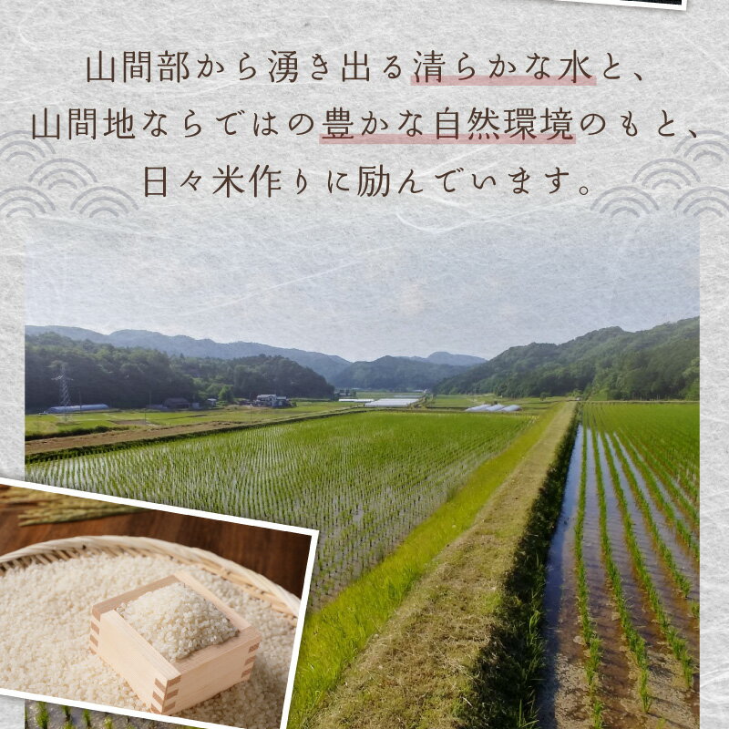 サンプル画像3