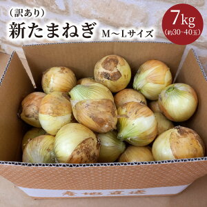 【ふるさと納税】＼春のお楽しみ！京都産の新玉ねぎ！／【訳あり】高評価★4.8 レビュー★【先行予約／数量限定】新たまねぎ 7kg （2024年5月中旬〜発送）新鮮 玉ねぎ 7キロ 30～40玉 ふるさと納税 たまねぎ 訳あり 訳有り わけあり 不揃い ふぞろい やさい 京野菜 京都産