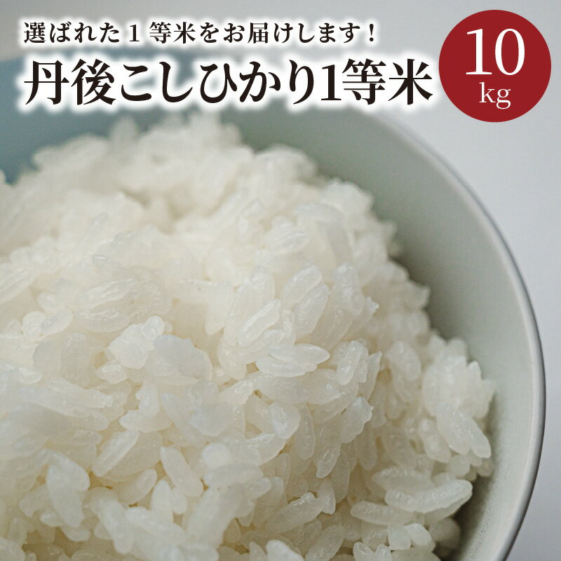 【ふるさと納税】令和4年産　丹後こしひかり1等米5kg×2袋 白米 丹後コシヒカリ おにぎり お弁当 京都産 京丹後 こしひかり ふるさと納税 コシヒカリ 精米 ふるさと納税 こしひかり 精米 ふるさと納税 米 10kg