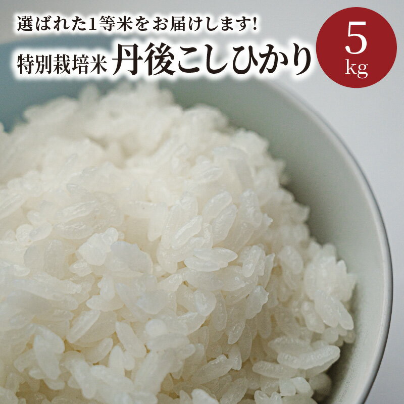 【ふるさと納税】厳選した一等米★西日本最多特A獲得★ 令和4年産 特別栽培米 丹後こ...