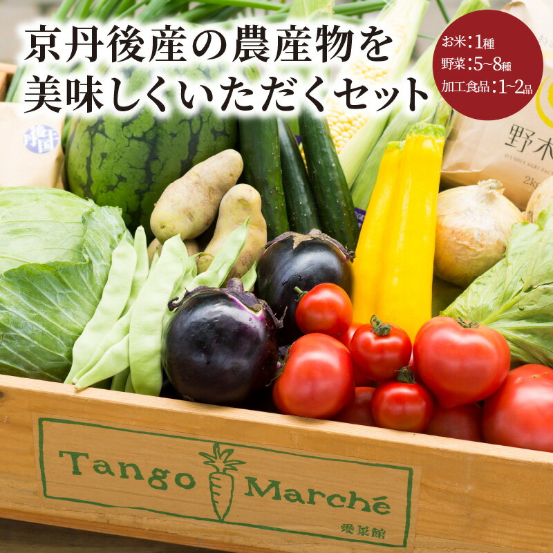 【ふるさと納税】京丹後産・農産物を美味しくいただくセット お野菜 野菜 果物 お米 米 丹後コシヒカリ 無洗米 採れたて ドレッシング 加工品 オリジナル 農産品 新鮮 セット 詰め合わせ