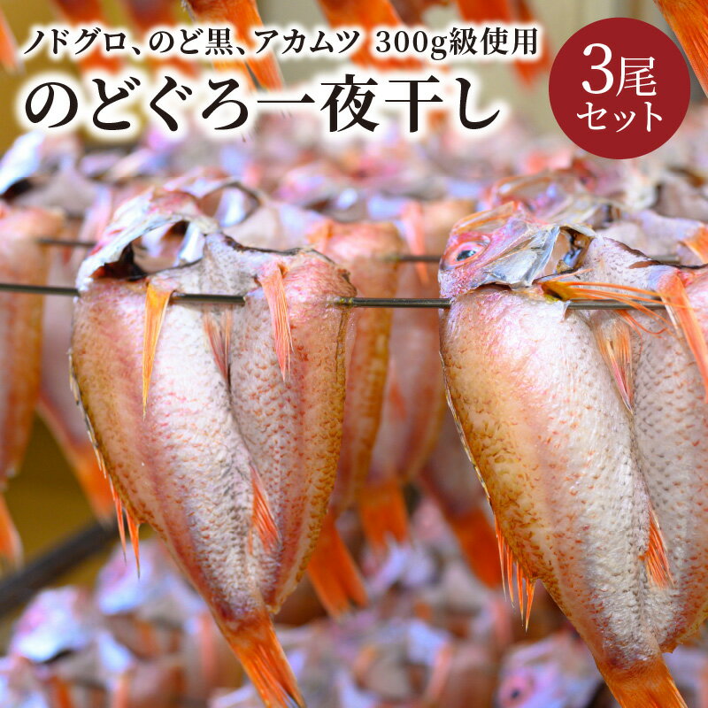 【ふるさと納税】のどぐろ一夜干し　（ノドグロ、アカムツ）　300g級使用　3尾セット 海鮮 魚介 魚介類 のどぐろ アカムツ 一夜干し 300g 3尾 セット やわらかい 冷凍