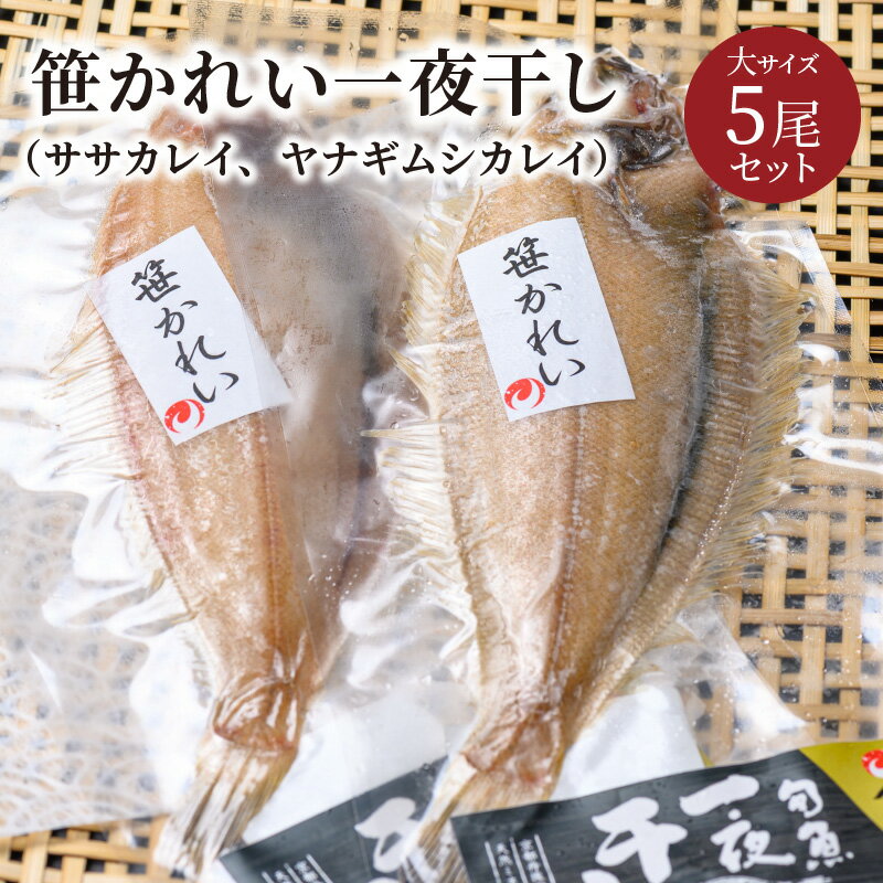 27位! 口コミ数「0件」評価「0」笹かれい一夜干し（ササカレイ、ヤナギムシカレイ）大サイズ 5尾セット 海鮮 魚介 魚介類 カレイ 一夜干し 150g〜 5尾 セット 冷凍