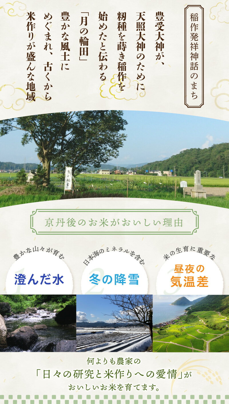 【ふるさと納税】真空パック・令和7年産 丹後コシヒカリ 5kg（真空パック）1回 6回 定期便 選べる 回数 ふるさと納税 米 定期便 コシヒカリ 産地直送 お米 白米 丹後コシヒカリ 京都産 精米 こしひかり 米 5キロ 京都産 生産者応援 農家応援