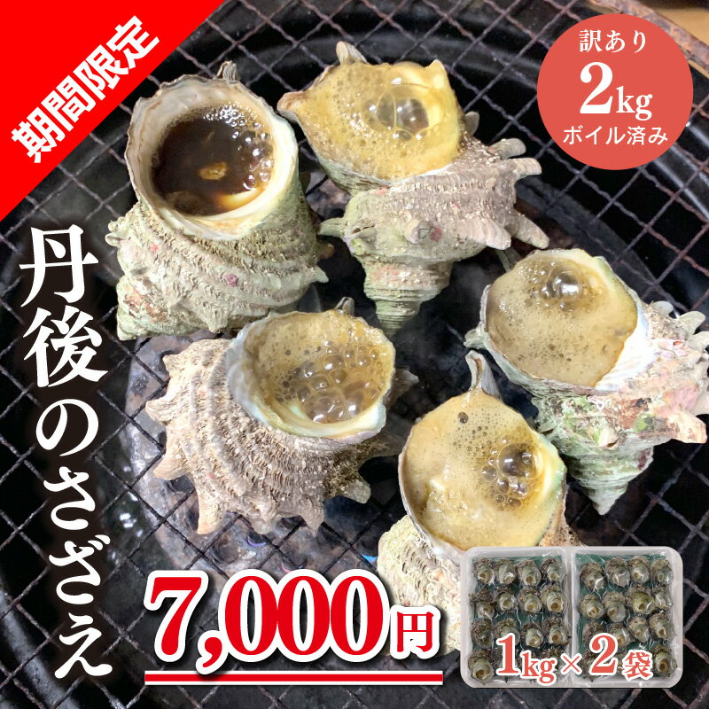 【ふるさと納税】【限定】【訳あり】 鮮度抜群！丹後産 さざえ （ ボイル済 ） 2kg （約23〜37個）　新鮮 さざえ サザエ 栄螺 ボイル つぼ焼き 壷焼き つぼやき お刺身 BBQ バーベキュー アウトドア キャンプ わけありさざえ 2キロ 2きろ 訳有り 訳アリ 京丹後の底ヂカラ