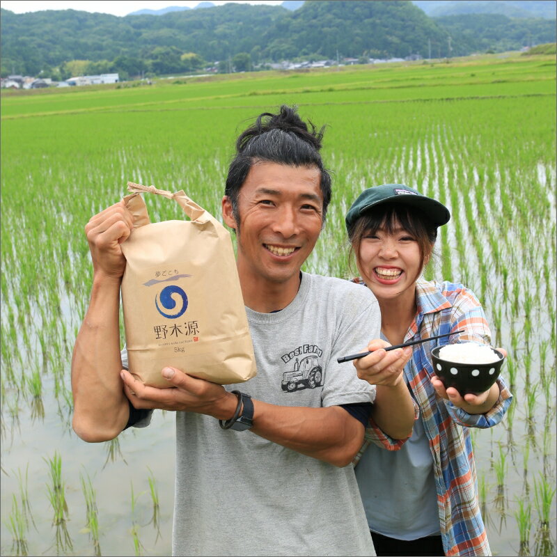 【ふるさと納税】京丹後米 特別栽培米夢ごこち10kg 米 京丹後 特別栽培米 10キロ 農家直送 米 こめ ふるさと 納税 米 精米 新米 京都産 からだの芯から健康になる 京丹後 野木源 送料無料