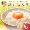 人気ランキング第8位「京都府京丹後市」口コミ数「0件」評価「0」王道のお米★ 京丹後米　特別栽培米コシヒカリ10kg 令和5年　注文後精米 米 京丹後 特別栽培米 10キロ 農家直送 米 こめ ふるさと 納税 コシヒカリ 精米 ふるさと 納税 こしひかり ふるさと 納税 米 精米 京都産 京丹後 野木源 送料無料