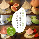 【ふるさと納税】京丹後のフルーツを使用した ライスジェラート おまかせ セット 3種 × 2個(季節のフルーツはおまかせ) ジェラート アイス セット 詰め合わ...