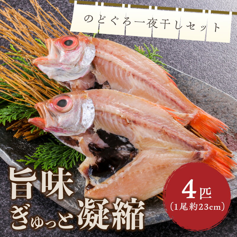 【ふるさと納税】【北畿水産 鮮の匠】のどぐろ一夜干し4匹セット 魚介類 魚介 魚 のどぐろ 一夜干し 干物 干し物 セット 詰め合わせ 美味しい 高級魚