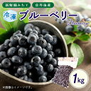 【ふるさと納税】美味しさそのまま摘みたてをハイブリッド冷凍 京丹後産 冷凍 ブルーベリー 1kg　果物 フルーツ スイーツ ぶるーべりー ふるさと納税 フルーツ ふるさと納税 果物 生産者応援 農家応援 送料無料