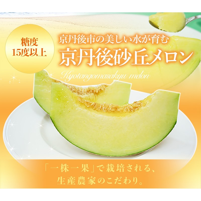 【ふるさと納税】糖度15度以上！京丹後砂丘メロン2玉入り　（2Lサイズ以上）／北畿水産(2025年6月下旬～発送) 国産 2玉 フルーツ 果物 メロン 砂丘メロン 甘い 糖度 京都 ふるさと納税 フルーツ ふるーつ くだもの ご当地メロン めろん 生産者応援 農家応援