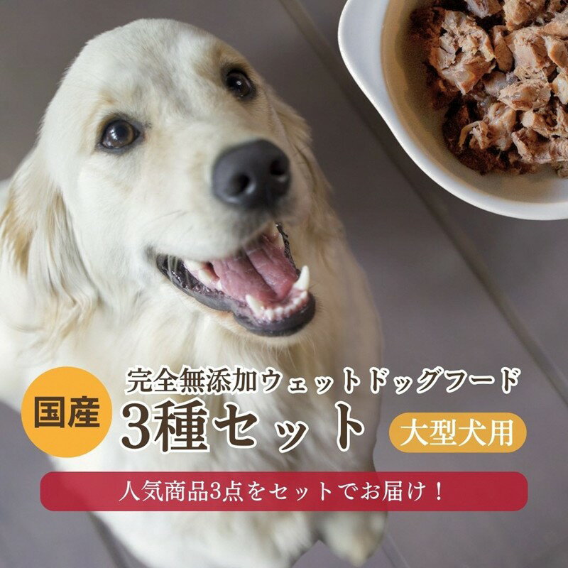 ڤդ뤵Ǽǡۡ緿ѡ3糧å ɥåա  緿 å     顼   ...