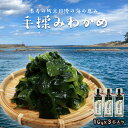 6位! 口コミ数「0件」評価「0」日本海・京丹後産／【長寿食・無添加】手揉みわかめ　3本入り 海藻 わかめ ワカメ 板わかめ サラダ パスタ お味噌汁 国産わかめ ふりかけ ･･･ 