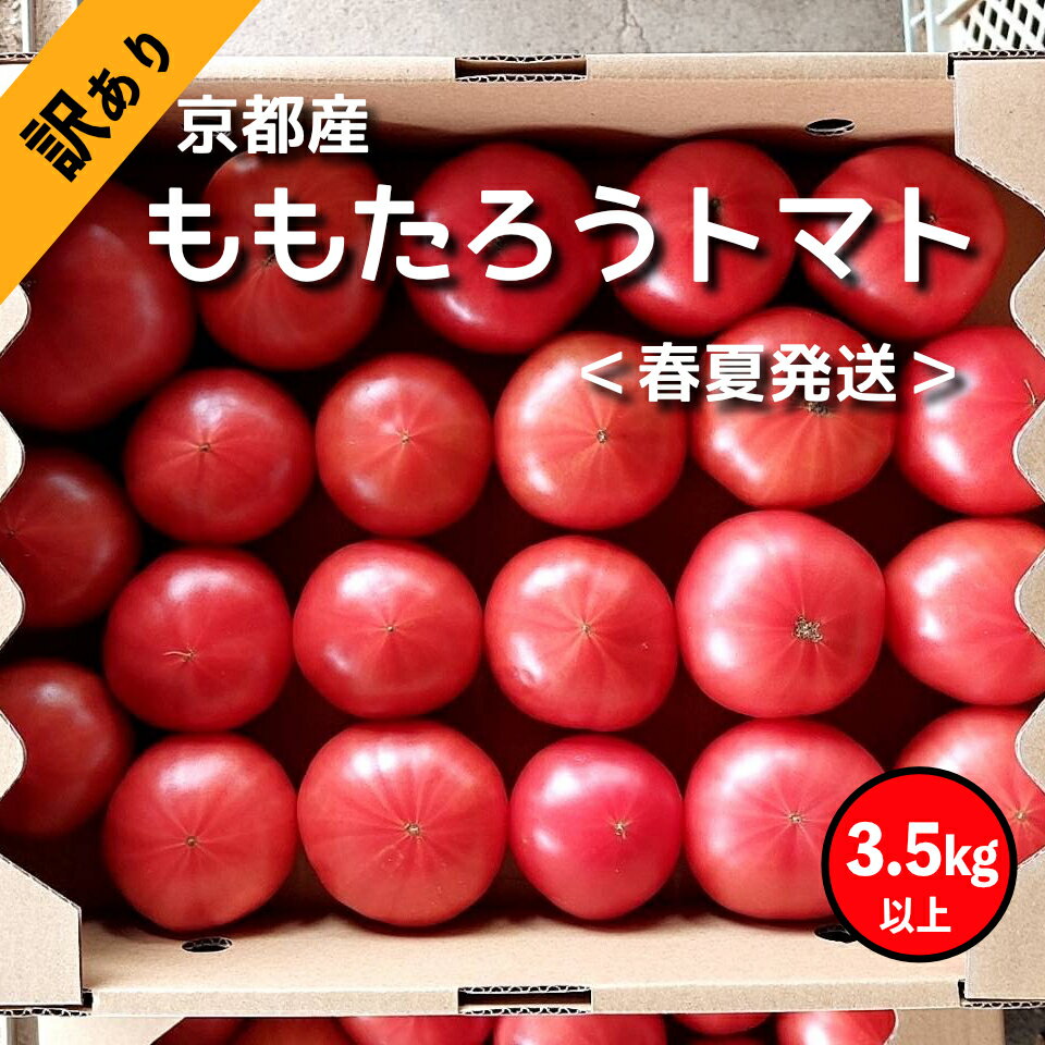 【ふるさと納税】【訳あり】農家直送！高糖度 ももたろうトマト（春夏発送／5月中旬～7月上旬発送） 3.5キロ以上　お野菜 野菜 トマト ミニトマト 3.5きろ 高糖度 濃厚 甘い 美味しい 完熟 とまと 不揃い ふぞろい 規格外 きかくがい 生産者応援 農家応援 送料無料