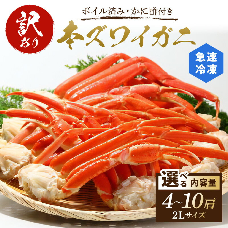 【ふるさと納税】配送月が選べる【訳あり!カニ酢付】急速冷凍/ボイル済み 本ズワイガニ 2L 4肩 6肩 10肩 選べる内容量 配送月 海鮮 かに カニ 蟹 本ず...