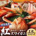 【ふるさと納税】採れたて！釜茹で！ 紅ズワイガニ 3杯 かに カニ鍋 焼きガニ ずわいがに ズワイガニ 肩 蟹 紅ずわいがに 海鮮 海鮮鍋 国産 期間限定 冷蔵 蟹 お取り寄せ 高級 香住 楽天市場 おすすめ 旬 ふるさと納税 京丹後市