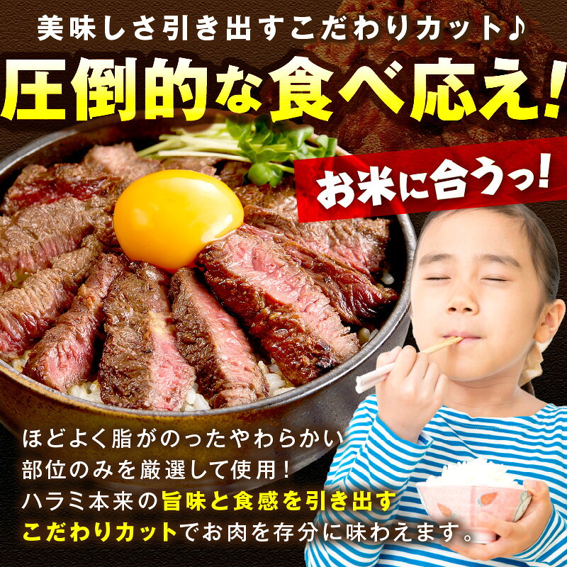 【ふるさと納税】訳あり【2026年9月上旬から発送】先行予約・小分け300g★5.0 【訳あり】牛ハラミ（サガリ） 秘伝のタレ込み 味付け肉 600g 1.2kg 1.8kg 内容量 ふるさと納税 牛肉 訳あり ハラミ サガリ 小分け 個包装 焼肉 ふるさと納税 ハラミ