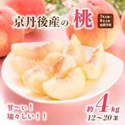 【ふるさと納税】 【先行予約／数量限定10】甘～ぃ！ジューシー！！京丹後産 桃4kg（12～20玉）(2024年7月中旬～発送)　フルーツ 果物 くだもの モモ もも 甘い 4キロ きろ 糖度 国産 京都 ふるさと 納税 桃 ふるさと 納税 先行予約 期間限定