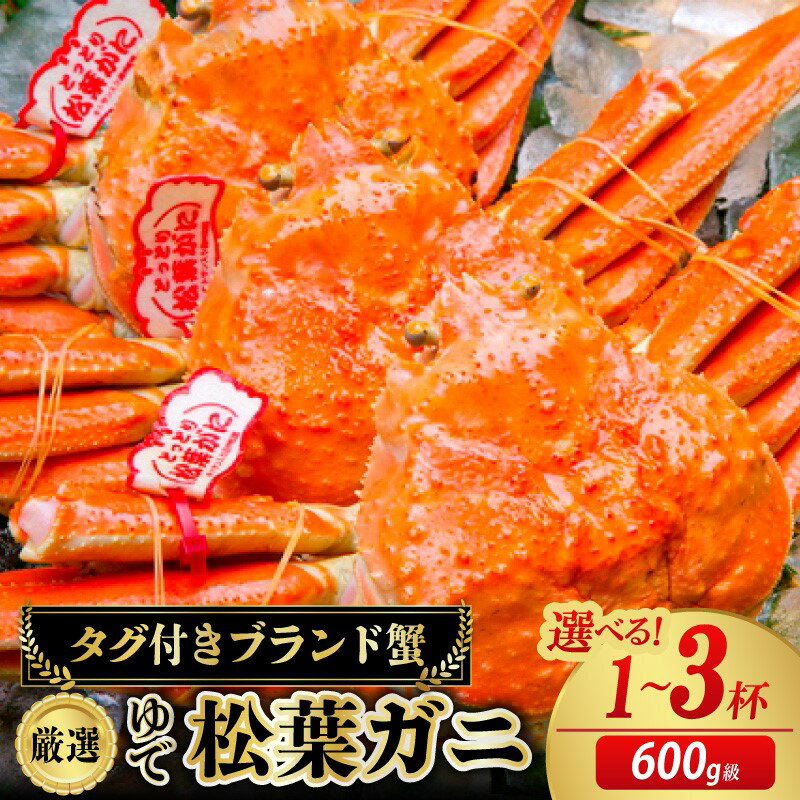[先行予約][厳選!タグ付きブランド蟹]茹で松葉かに(600g級)(2026年1月〜発送) 1杯 2杯 3杯 選べる 内容量 松葉蟹 ズワイガニ 国産 海産物 甲殻類 かに ずわいがに 松葉かに 茹で ボイル 京都 京丹後 ふるさと納税 海鮮 ふるさと納税 かに 海祥