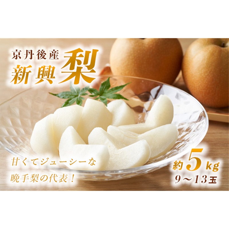 【ふるさと納税】【先行予約】甘～ぃ！ジューシー！！晩生梨の代表 京丹後産 新興梨 5kg（9～13玉）（2026年9月下旬～発送） 国産 期間限定 デザート ふるさと 納税 梨 なし ナシ ふるさと 納税 先行予約 期間限定 ふるさと 納税 フルーツ くだもの 果物 赤梨