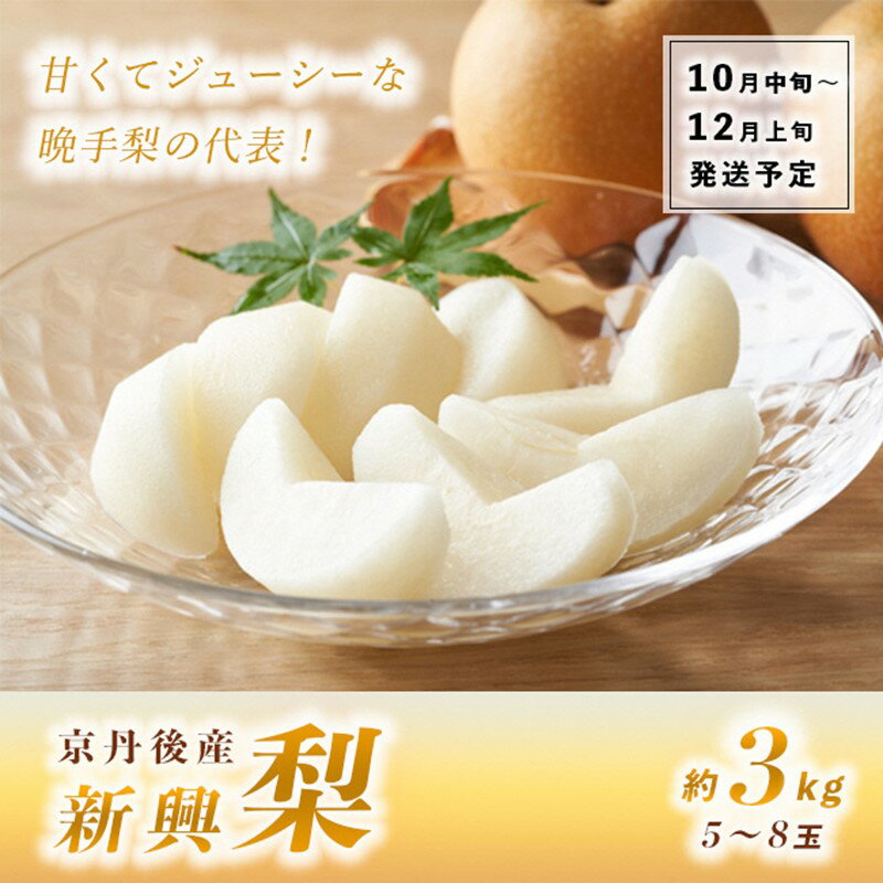 【ふるさと納税】【先行予約】甘～ぃ！ジューシー！！晩生梨の代表 京丹後産 新興梨 3kg（5～8玉）（2...