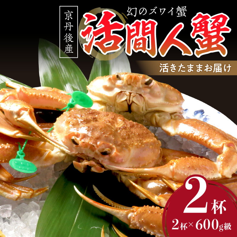 【ふるさと納税】【幻のズワイ蟹】京丹後産 活間人蟹（中） 鮮度抜群、活きたままお届け！！ 600g級×2杯 カニ刺し かにしゃぶ 冷蔵 間人がに 間人かに 活かに 生かに たいざがに 生 松葉がに 生きたまま ふるさと納税 かに 生ふるさと納税 松葉ガニ 生 タグ付きのサムネイル