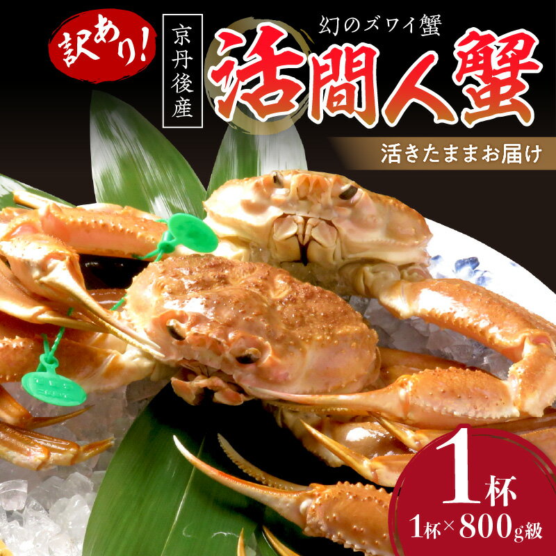 【ふるさと納税】【訳あり!!幻のズワイ蟹】 京丹後産 活間人蟹 鮮度抜群、活きたままお届け!! 800g級(足1本落ち)×1杯 カニ刺し 冷蔵 間人がに 間人か...
