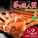 【ふるさと納税】高評価★5.0 高レビュー★【幻のズワイ蟹】京丹後産 茹で間人蟹 鮮度抜群、釜茹でにてお届け!! 600g級 800g級 1杯 2杯 選べる 内...