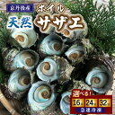 【ふるさと納税】急速冷凍!壺焼き BBQにオススメ!天然ボイルサザエ 16個 24個 32個 選べる 海鮮 魚介類 魚介 天然 ボイル つぼ焼き BBQ ふるさと納税 サザエ