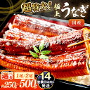【ふるさと納税】超特大・国産【14営業日以内発送】高評価★5.0 極上!国産うなぎ蒲焼 1尾 2尾 選べる 内容量 配送時期 ふるさと納税 鰻 九州産 国産 ウナギ 有頭 蒲焼き 土用の丑の日 うな丼 うな重 ひつまぶし ふるさと納税 うなぎ 国産【海祥レビューキャンペーン】