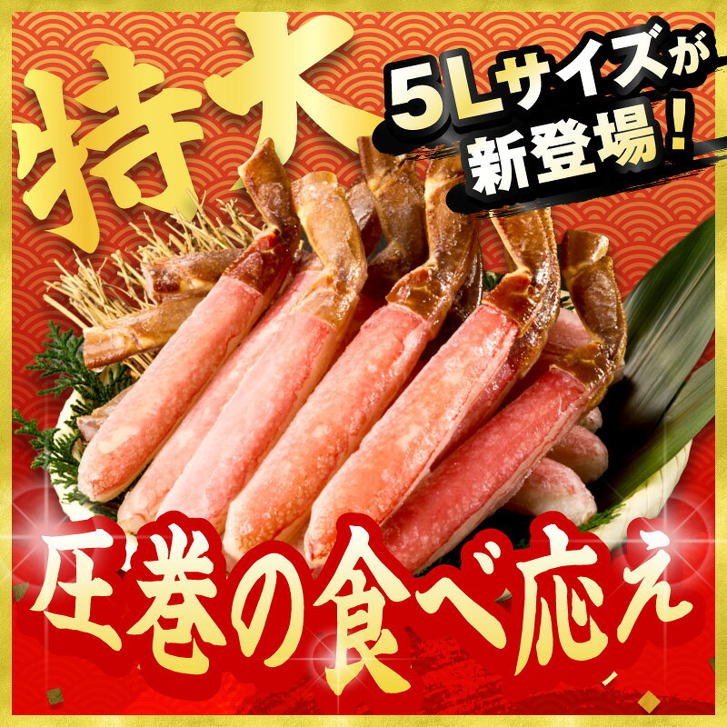 【ふるさと納税】★4.41★月指定可・12月発送／鮮度抜群！棒肉ポーション！生本ズワイガニ 棒肉ポーション 20～60本 通常3L程度～特大5L程度 選べる ずわい蟹 冷凍 ふるさと納税 かに 12月着 ふるさと納税 カニ ポーション 生ズワイ カニ刺身 かにしゃぶ ズワイガニ f262129-kyotango-10002957 京都府京丹後市 サンプル画像3