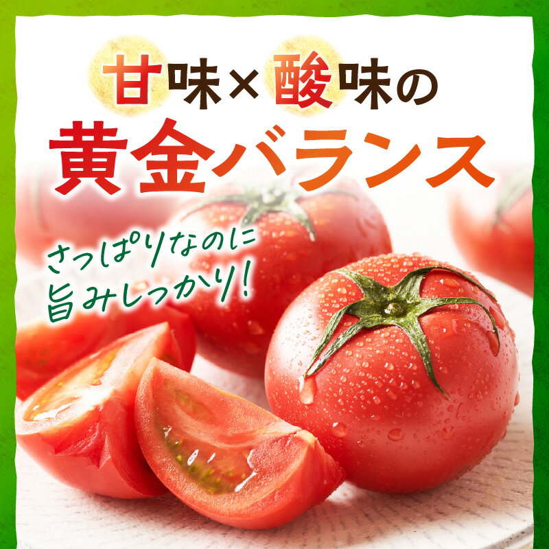 【ふるさと納税】高評価★5.0【先行予約】京都・京丹後産 京トマト 2kg (8～10玉) 4kg (12～24玉) 春夏発送（2026年5月中旬～発送）選べる 内容量 夏野菜 野菜 トマト 大玉 2きろ 4きろ 高糖度 濃厚 甘い 美味しい 完熟 とまと ふるさと納税 トマト JA京都 農協