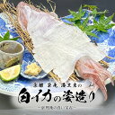 【ふるさと納税】イカの刺身に/鮮度抜群★ 【先行予約】京都 榮元 海工房の白イカの姿造り 海鮮 魚介類 イカ 白いか 剣先イカ 産地直送 お刺身 特殊冷凍 活き...