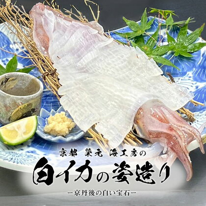 イカの刺身に／鮮度抜群★ 【先行予約】京都　榮元　海工房の白イカの姿造り 海鮮 魚介類 イカ 白いか 剣先イカ 産地直送 お刺身 特殊冷凍 活きいか 京都 丹後 久美浜 送料無料 ふるさと納税 いかそうめん いか刺身 イカ刺身 いか刺し