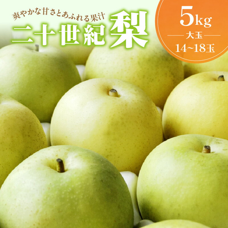 梨 【ふるさと納税】【先行予約／数量限定100】京丹後産 二十世紀梨 大玉 5kg（14～18玉入り）（2024年9月上旬～発送） 国産 ギフト お取り寄せ 5キロ ふるさと納税 梨 なし ふるさと納税 先行予約 期間限定 ふるさと納税 20世紀 送料無料