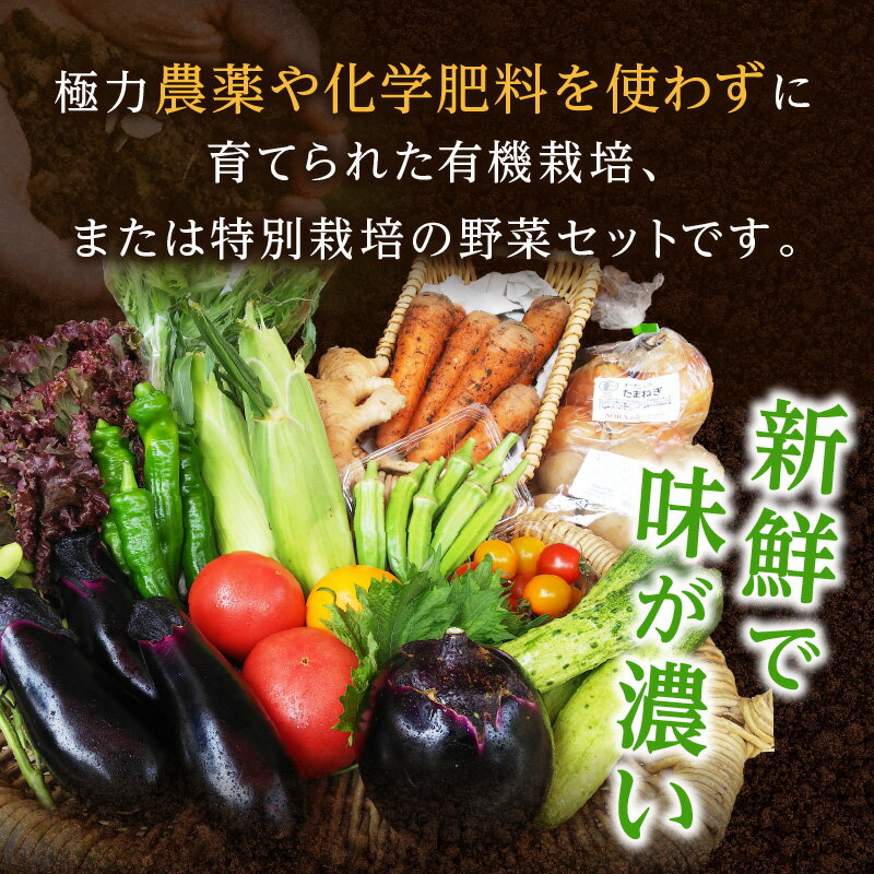 【ふるさと納税】京の旬野菜セットS（栽培期間中農薬・化学肥料不使用）＜アスカ有機農園＞ 1回 4回 6回 12回 定期便 回数 選べる 野菜 京野菜 旬野菜 旬 セット 詰め合わせ 京都府 京丹後市 ふるさと納税 野菜 生産者応援 農家応援 送料無料