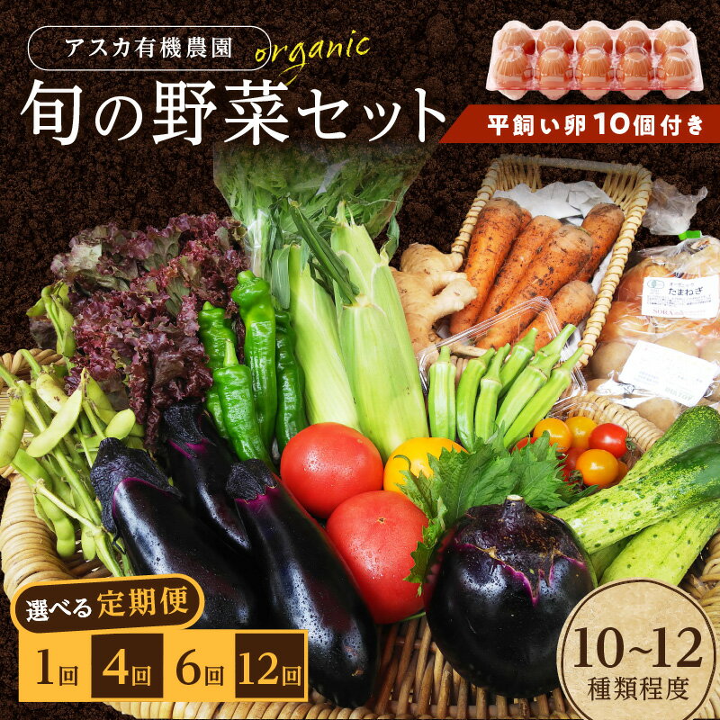 【ふるさと納税】京の旬野菜セットL平飼い卵付き(栽培期間中農薬・化学肥料不使用)<アスカ有機農園> 1回 4回 6回 12回 定期便 回数 選べる 野菜 京野菜 旬野菜 旬 卵 玉子 平飼い セット 詰め合わせ 京都府 京丹後市 ふるさと納税 野菜 生産者応援 農家応援 送料無料