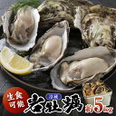 【ふるさと納税】 生食可/夏は岩牡蠣!京都・京丹後産 鮮度抜群!濃厚肉厚岩牡蠣(生食用)約5kg(約10個)(殻付き・かんかん入り・冷蔵・ナイフ付き) 魚介 国...