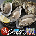 【ふるさと納税】京都・京丹後産 鮮度抜群!濃厚肉厚岩牡蠣(生食用)8個入り(個別包装・冷凍) 魚介 国産 肉厚 生食用 養殖牡蠣 むき身 岩牡蠣 岩ガキ 海鮮 海のミルク ふるさと 納税 牡蠣 冷凍 大粒 カキ かき 牡蛎 送料無料