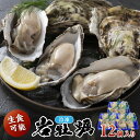 【ふるさと納税】京都・京丹後産 鮮度抜群!濃厚肉厚岩牡蠣(生食用)12個入り(個別包装・冷凍) 魚介 国産 肉厚 生食用 養殖牡蠣 むき身 岩牡蠣 岩ガキ 海鮮 海のミルク ふるさと 納税 牡蠣 冷凍 大粒 カキ かき 牡蛎 送料無料